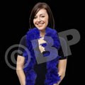 6' Royal Blue Solid Color Boa